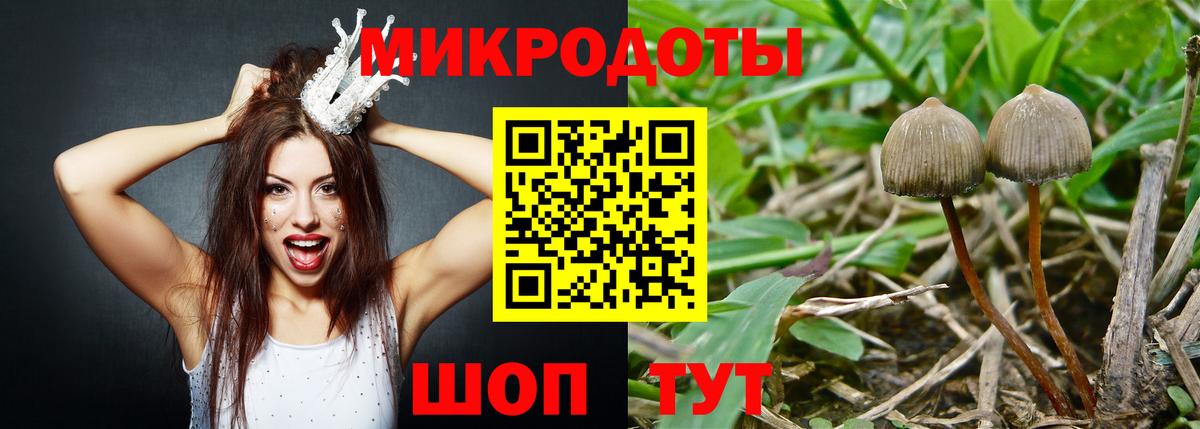 Псилоцибиновые грибы MAGIC MUSHROOMS  Псилоцибиновые грибы Psilocybine cubensis  Вход с VPN  Каспийск 